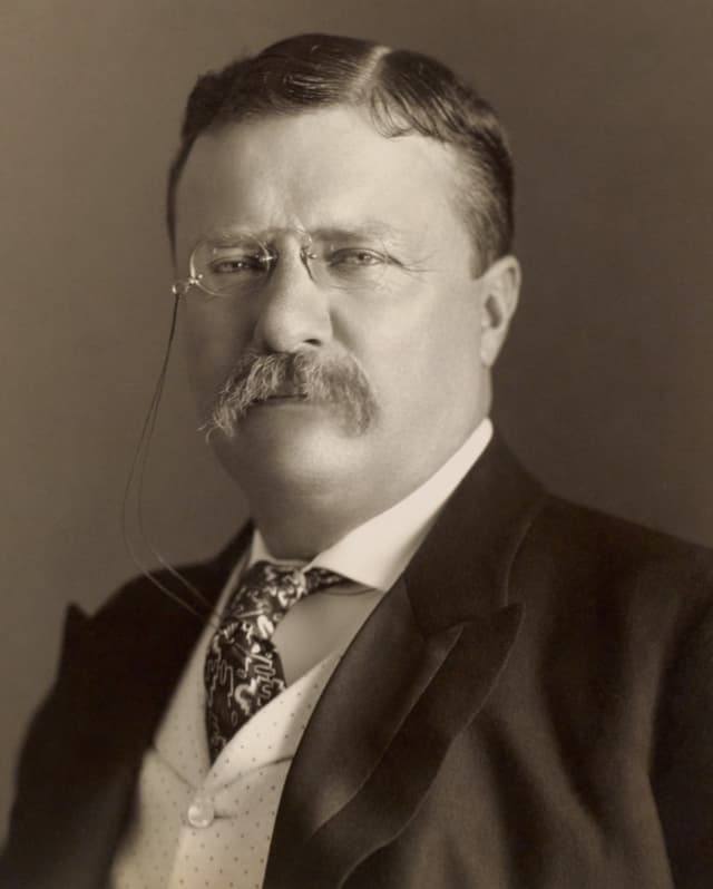 Official portrait of Theodore Roosevelt